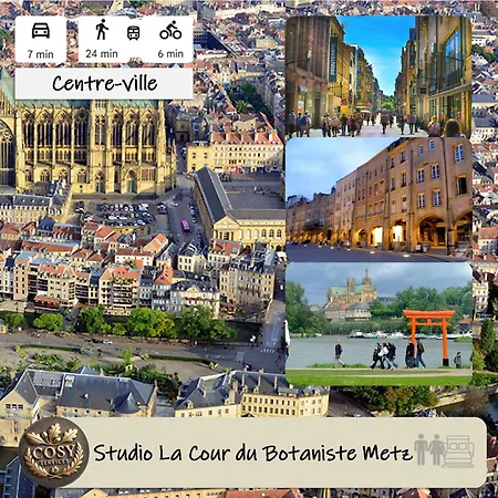 La Cour Du Botaniste Lejlighed Metz
