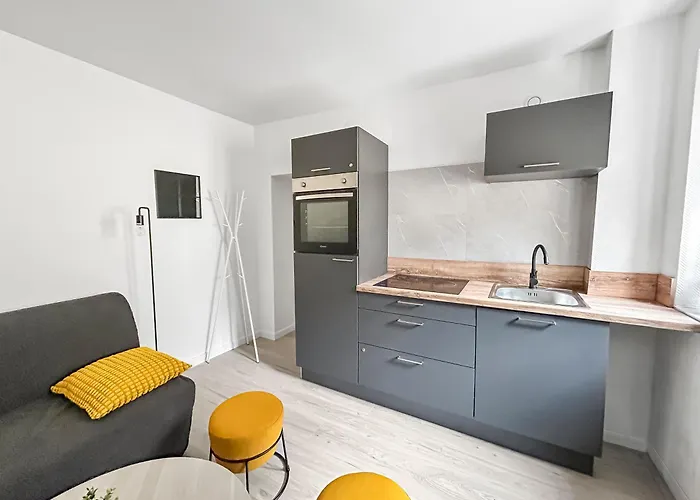 La Cour Du Botaniste Appartement Metz